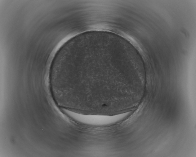 X0000113161331200910021453