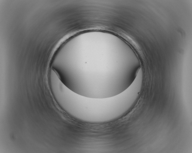 X0000113161332200910021453