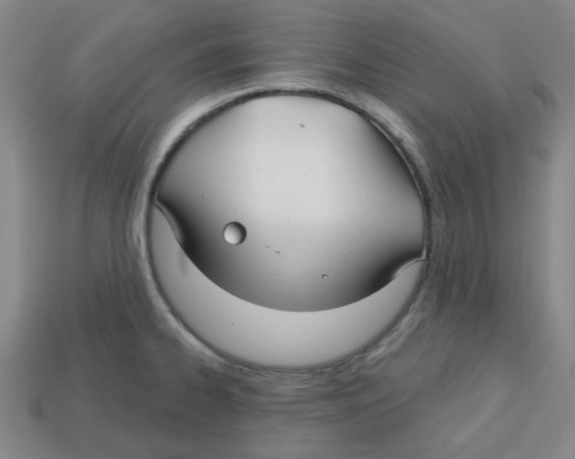 X0000113161334200910021453