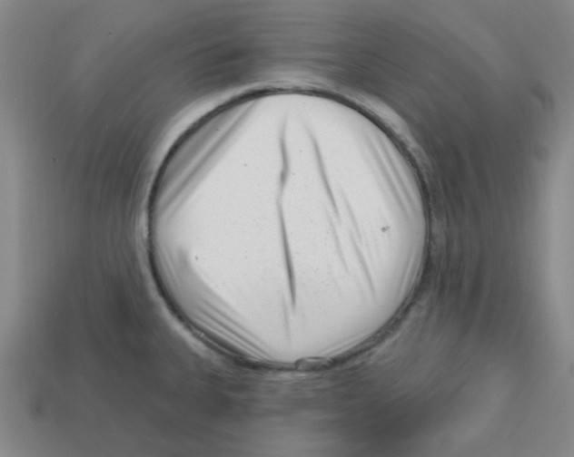 X0000113161335200910021453