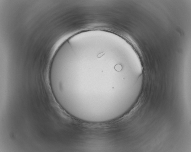 X0000113161336200910021453