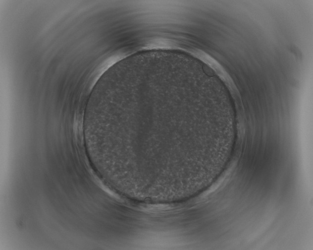 X0000113161337200910021453