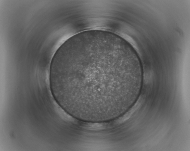 X0000113161338200910021453