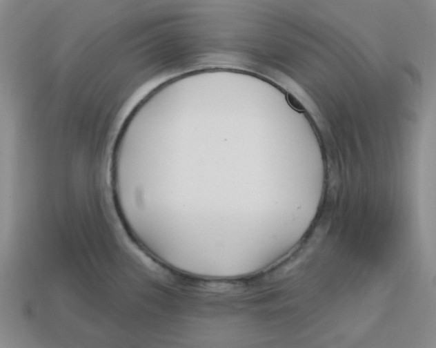 X0000113161339200910021453