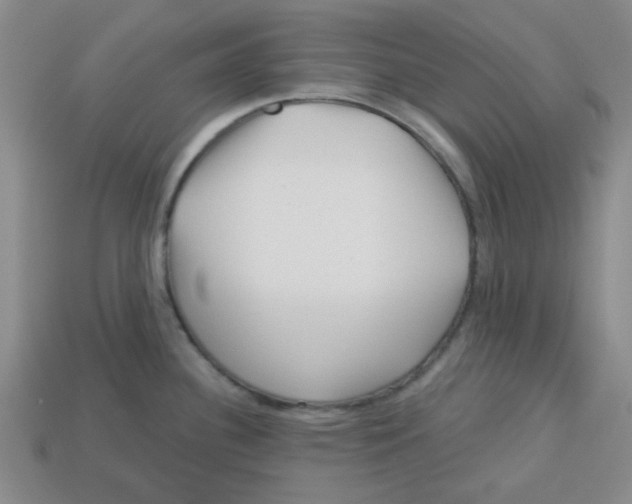 X0000113161340200910021453