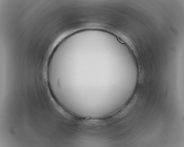 X0000113161342200910021453