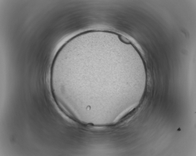 X0000113161343200910021453