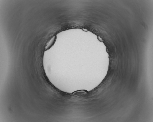 X0000113161345200910021452