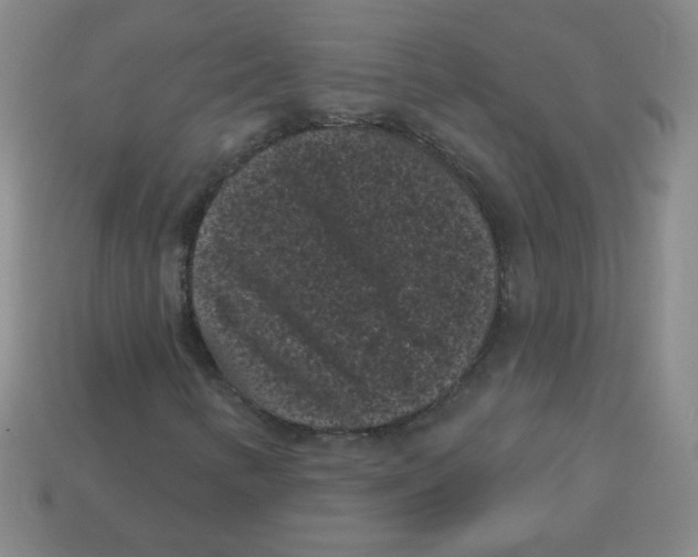 X0000113161346200910021452