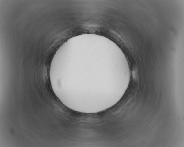 X0000113161347200910021452