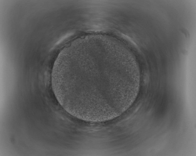 X0000113161350200910021452