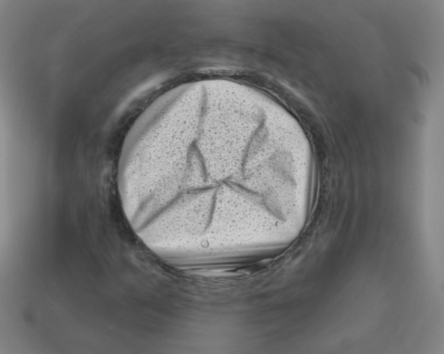 X0000113161351200910021452