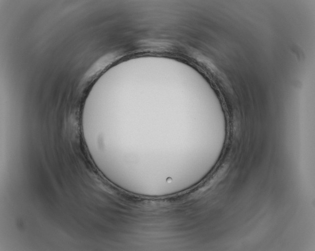 X0000113161354200910021452