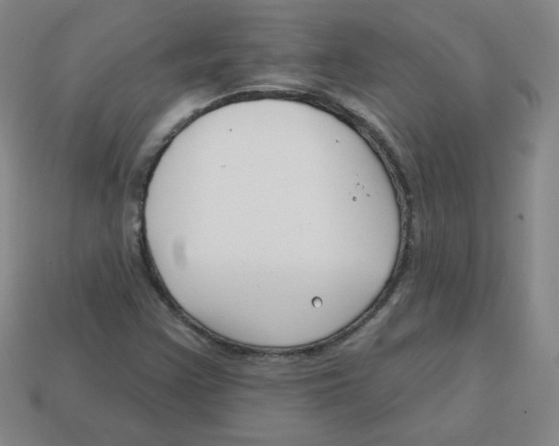 X0000113161355200910021452