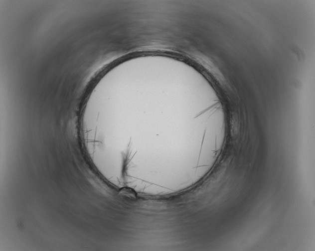 X0000113161356200910021452