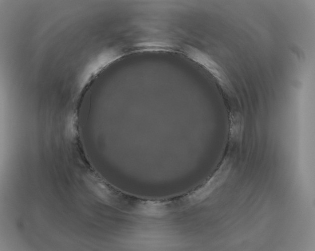 X0000113161357200910021452