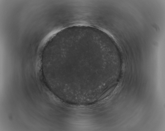 X0000113161359200910021452