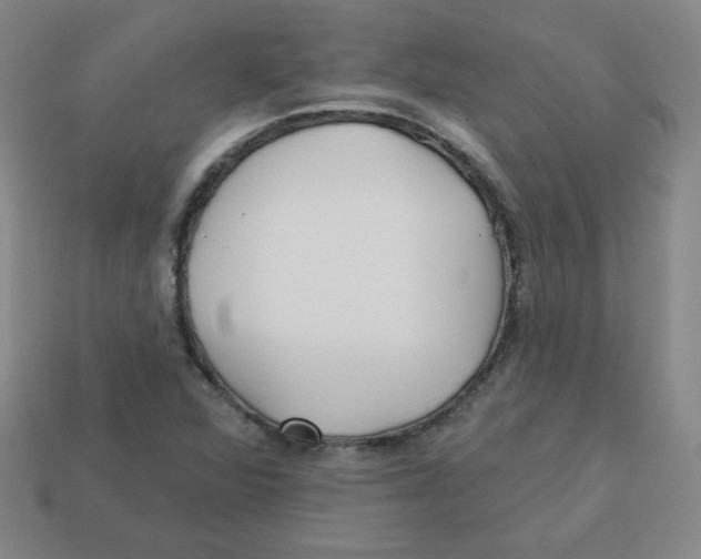 X0000113161360200910021452