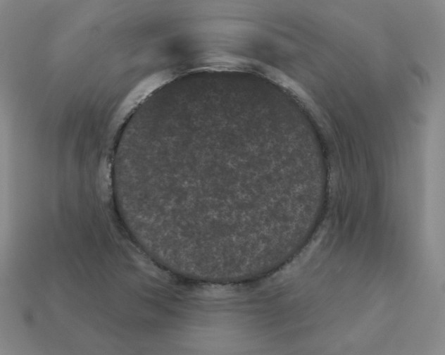 X0000113161362200910021452