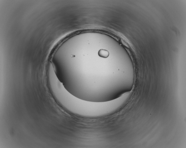 X0000113161364200910021452