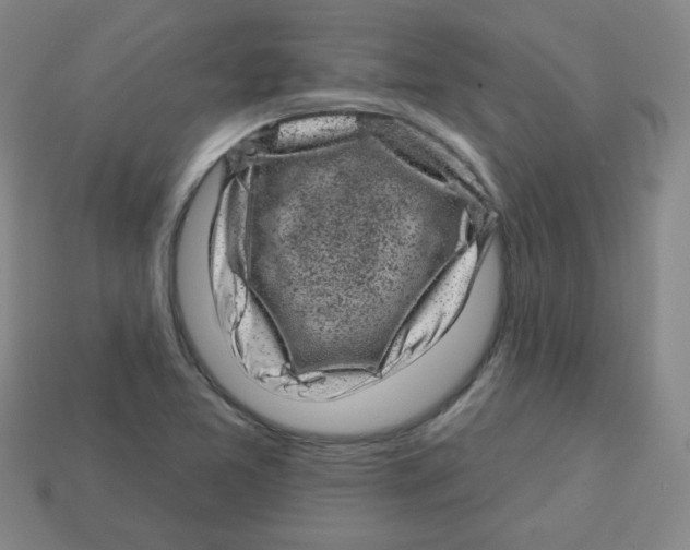 X0000113161365200910021452