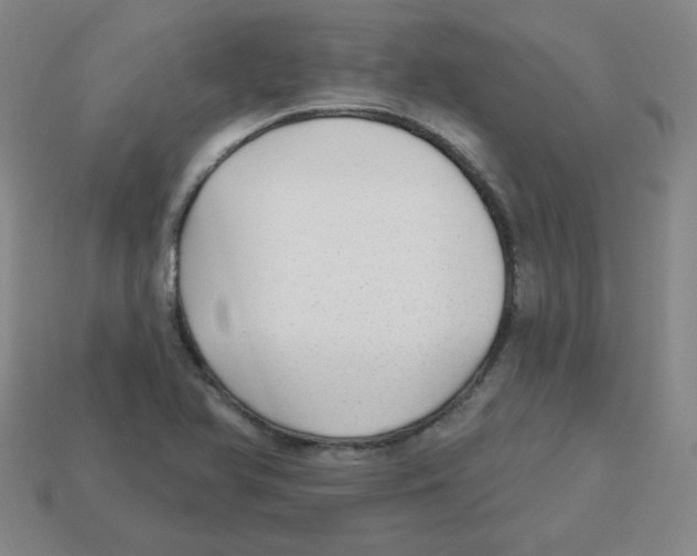 X0000113161366200910021452