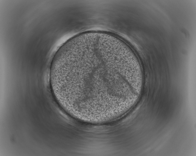 X0000113161367200910021452