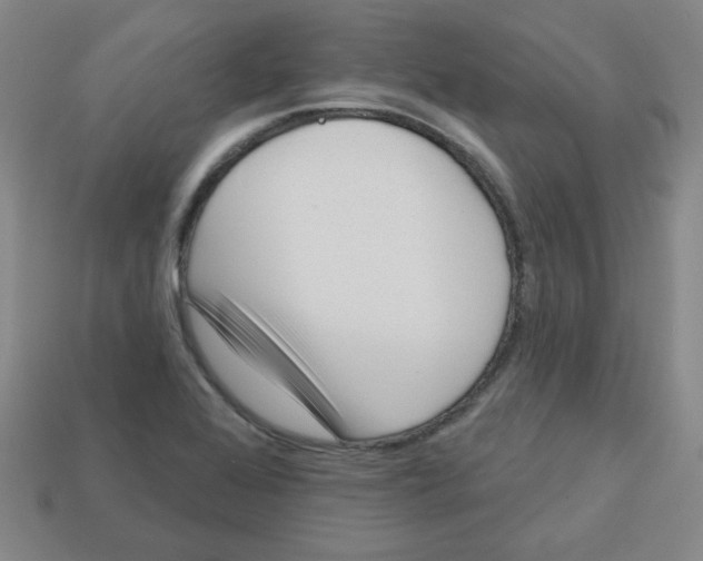 X0000113161368200910021452