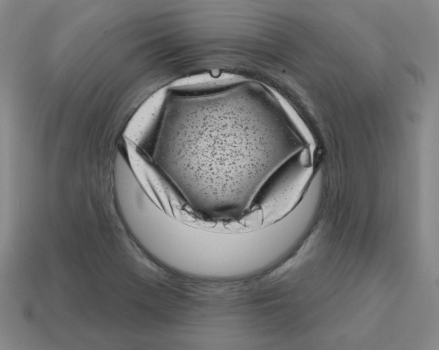 X0000113161369200910021452