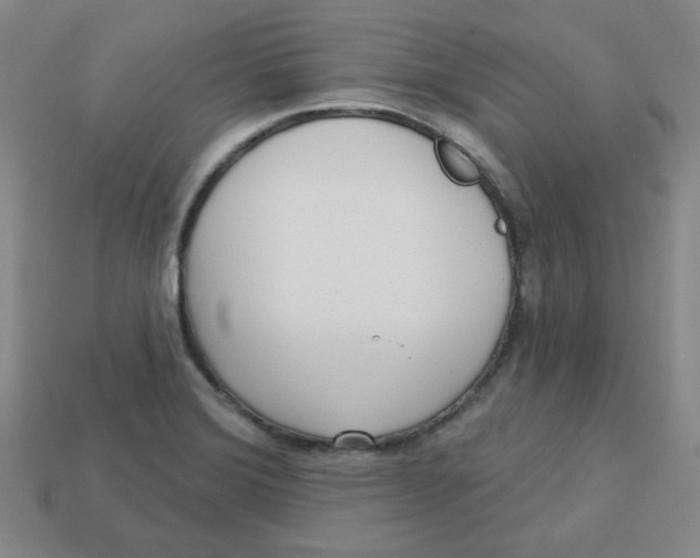 X0000113161372200910021452