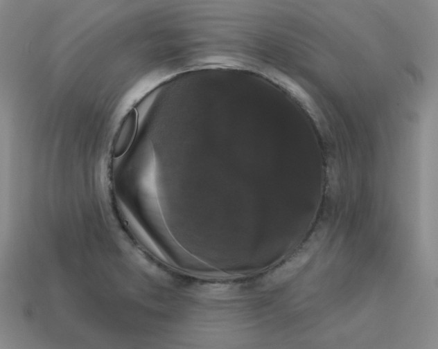 X0000113161373200910021452