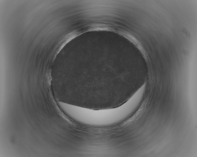 X0000113161377200910021452