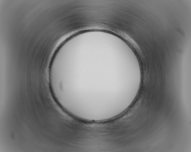 X0000113161380200910021452