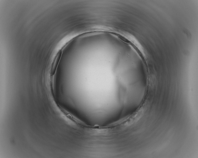 X0000113161381200910021452