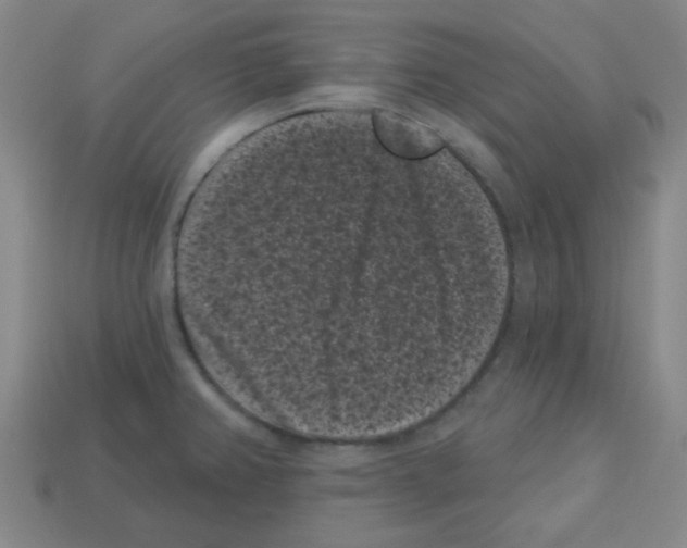 X0000113161382200910021452