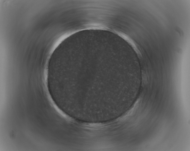 X0000113161383200910021452