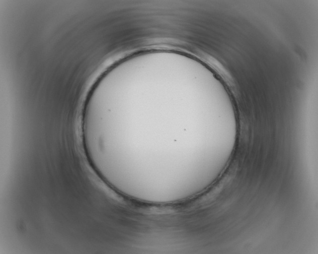 X0000113161384200910021452