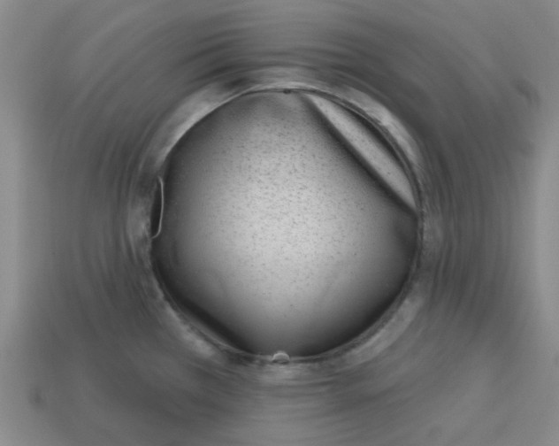 X0000113161385200910021452