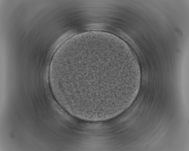 X0000113161386200910021452