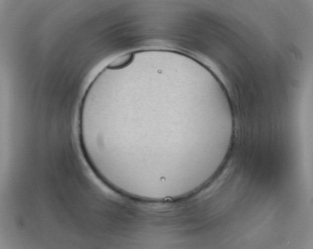 X0000113161387200910021452