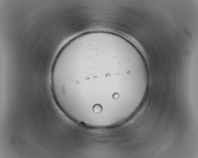 X0000113161388200910021452