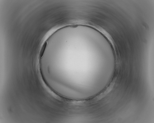 X0000113161389200910021452