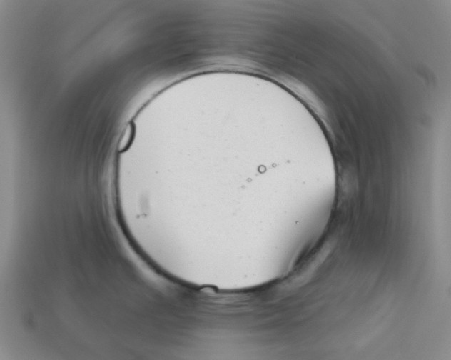 X0000113161391200910021452