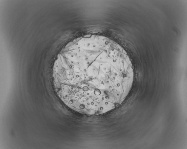 X0000113161393200910021451