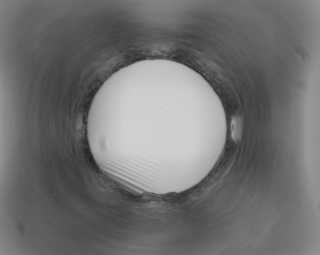 X0000113161395200910021451