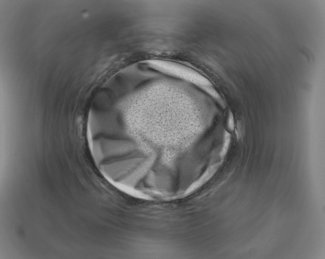 X0000113161396200910021451