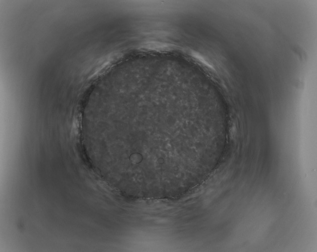 X0000113161397200910021451