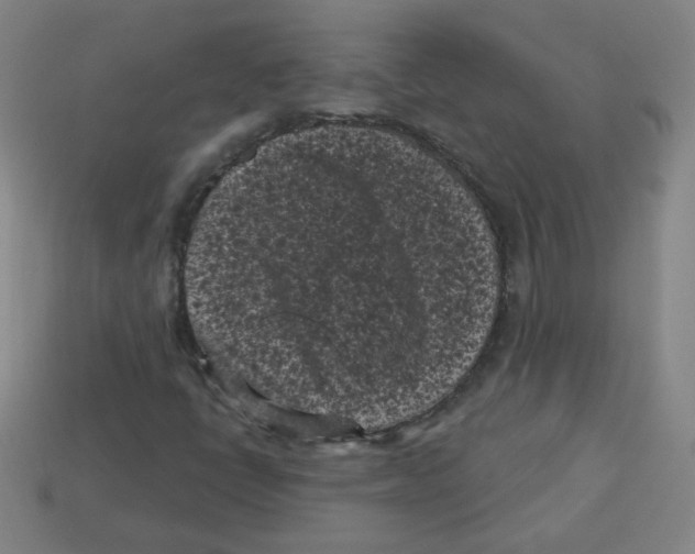 X0000113161398200910021451