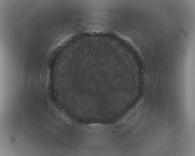 X0000113161399200910021451