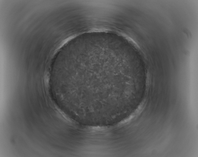 X0000113161401200910021451